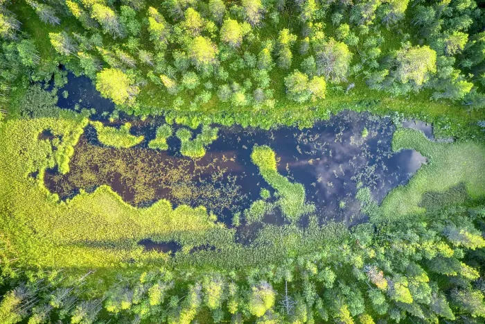 Framed Print : Finland, Lapland. Aerial view of a marsh in a forest Framed Print : Finland, Lapland. Aerial view of a marsh in a forest