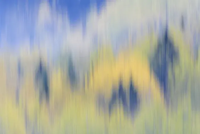 Framed Print : Finland, Nuuksio National Park. Abstract of fall color of spruce and hemlock trees Framed Print : Finland, Nuuksio National Park. Abstract of fall color of spruce and hemlock trees