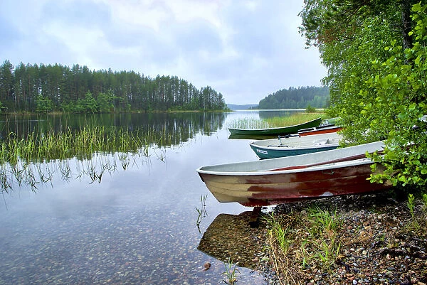 Finlandia, Savonlinna, lake bank and vegetation