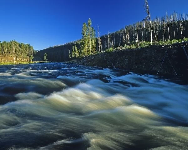 The Firehole River in Yellowstone National Park
