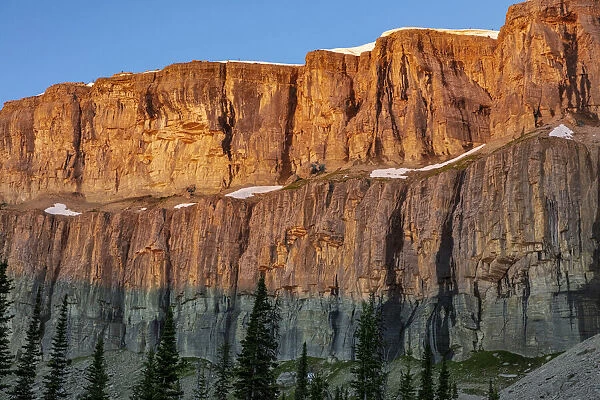 First light on the Chinese Wall in the Bob Marshall Wilderness, Montana, USA