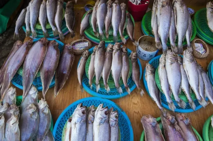 Framed Print : Fish for sale in the fish market of Busan, South Korea Framed Print : Fish for sale in the fish market of Busan, South Korea