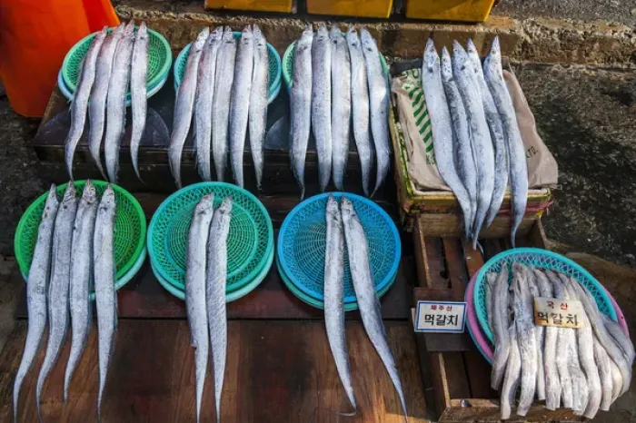 Framed Print : Fish for sale in the fish market of Busan, South Korea