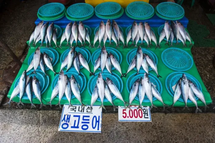 Framed Print : Fish for sale at the modern fish market in Busan, South Korea