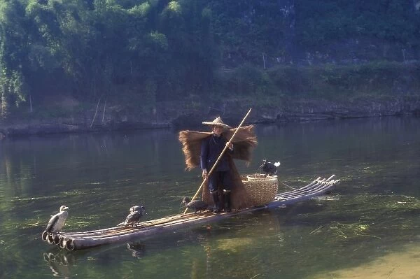 Fisherman with cormorants on bamboo raft on the Li River, Guangxi Province, China