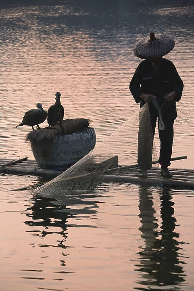Fisherman fishing with cormorants on bamboo raft on Li River at dusk, Yangshuo, Guangxi
