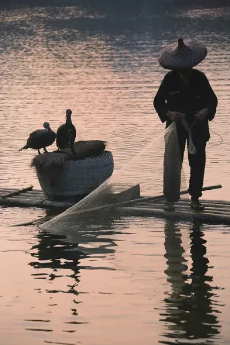 Framed Print : Fisherman fishing with cormorants on bamboo raft on Li River at dusk, Yangshuo, Guangxi Framed Print : Fisherman fishing with cormorants on bamboo raft on Li River at dusk, Yangshuo, Guangxi