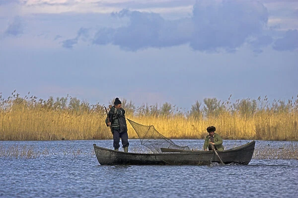 Fishermen bring in their harvest of fish during early spring in the Danube Delta, Romania