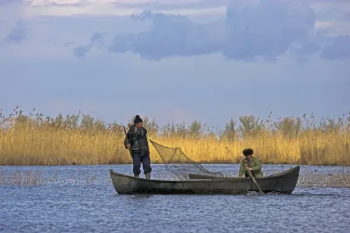 Framed Print : Fishermen bring in their harvest of fish during early spring in the Danube Delta, Romania Framed Print : Fishermen bring in their harvest of fish during early spring in the Danube Delta, Romania