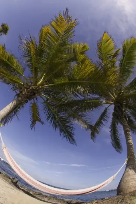 Framed Print : Fisheye lens view of hammock, Turneffe Caye, Belize Framed Print : Fisheye lens view of hammock, Turneffe Caye, Belize