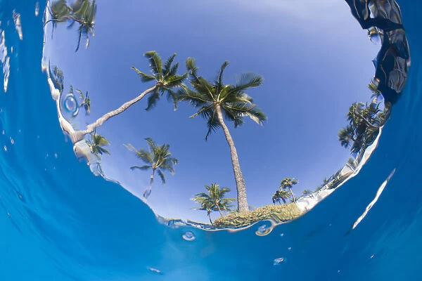 Fisheye view from swimming pool, South Maui, Hawaii, USA