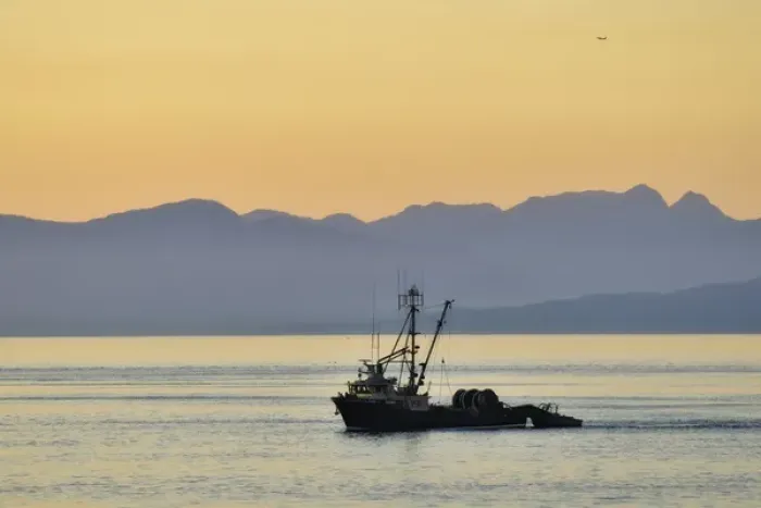 Framed Print : Fishing boat seen at sunset from Vancouver / Nanaimo Ferry Framed Print : Fishing boat seen at sunset from Vancouver / Nanaimo Ferry