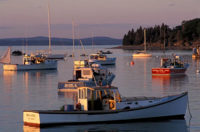 Framed Print : Fishing boats in Bar Harbor. Bar Harbor, ME Framed Print : Fishing boats in Bar Harbor. Bar Harbor, ME