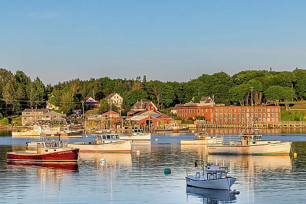 Fishing boats in harbor in Bernard, Maine, USA