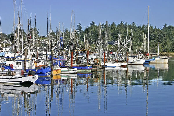 Fishing boats at wharf at Charleston near Coos Bay Oregon