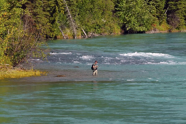 Fishing in the Kenai River; Kenai Peninsula; Alaska; USA