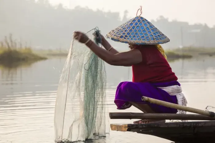 Framed Print : Fishing, Loktak Lake, near Imphal, Manipur, India