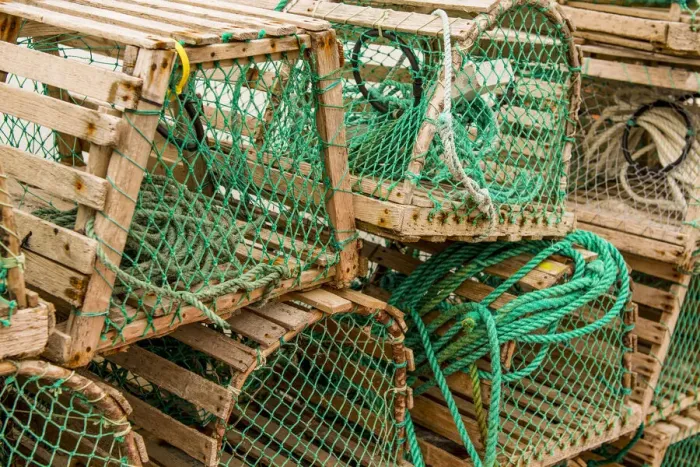 Framed Print : Fishing nets and lobster pots traps, Old Pelican, Avalon Peninsula, Newfoundland, Canada Framed Print : Fishing nets and lobster pots traps, Old Pelican, Avalon Peninsula, Newfoundland, Canada