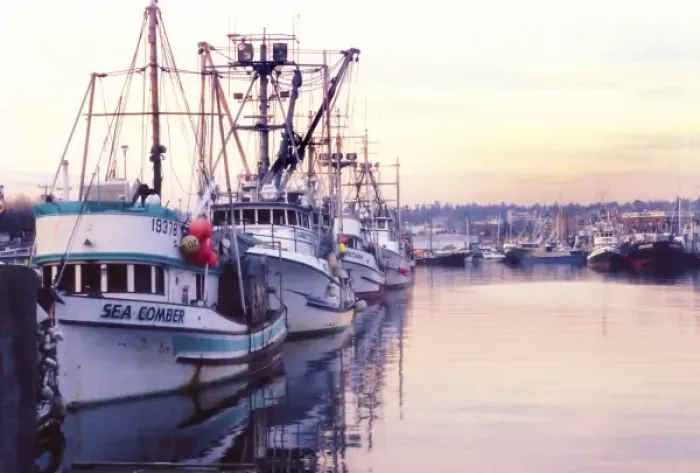 Framed Print : Fishing trawler in harbor in Seattle, Washington Framed Print : Fishing trawler in harbor in Seattle, Washington