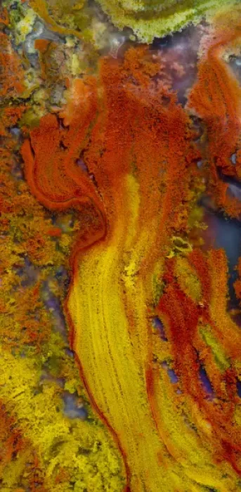 Framed Print : Flame Agate, Sammamish, WA Framed Print : Flame Agate, Sammamish, WA