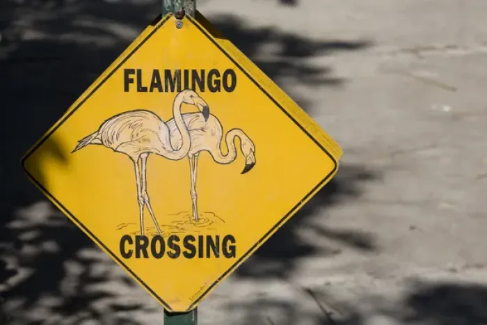 Framed Print : Flamingo Crossing Sign, Nassau, Bahamas Framed Print : Flamingo Crossing Sign, Nassau, Bahamas