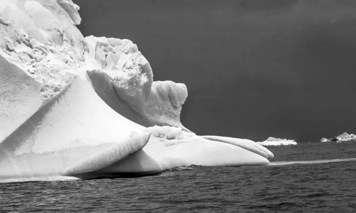 Framed Print : Floating blue iceberg Floating sea water Charlotte Bay, Antarctica