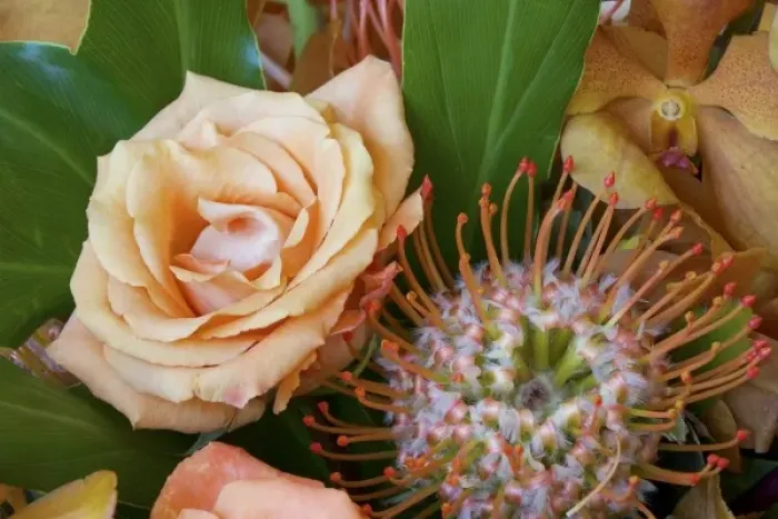 Framed Print : Flower arrangement with rose, orchid, and protea blossoms Framed Print : Flower arrangement with rose, orchid, and protea blossoms