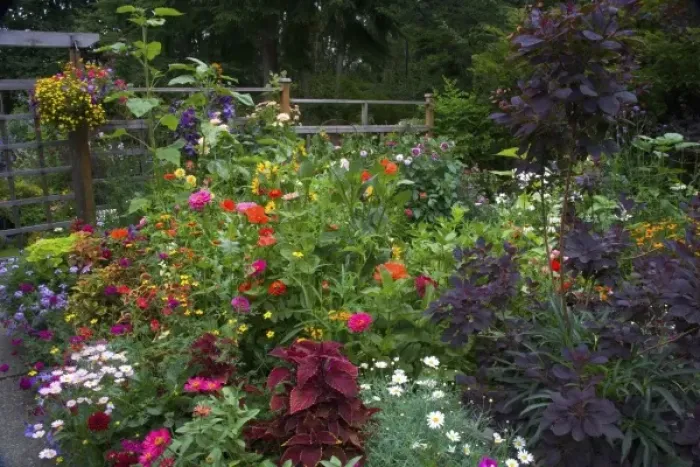 Framed Print : Flower Garden designs - Sammamish, Washington Framed Print : Flower Garden designs - Sammamish, Washington