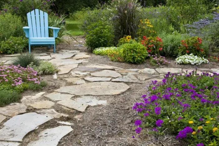 Framed Print : Flower garden with path and blue chair. Homestead Purple Verbena, Tapien pink verbena Framed Print : Flower garden with path and blue chair. Homestead Purple Verbena, Tapien pink verbena