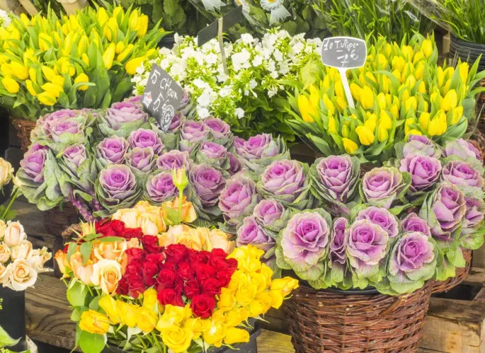 Framed Print : Flower market Rue Cler, Paris Framed Print : Flower market Rue Cler, Paris