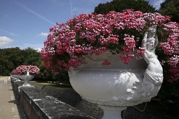 Flower pots decorated the garden of Chateau de Chenonceaux. Loire Valley. France
