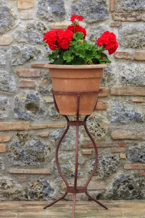 Framed Print : Flower pots as decoration. Tuscany. Italy