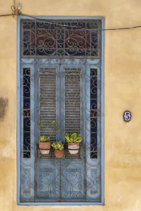 Framed Print : Three flower pots sit in wrought iron gate in front of blue door in Old Havana Framed Print : Three flower pots sit in wrought iron gate in front of blue door in Old Havana