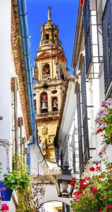 Framed Print : Flower Street Calleja de las Flores Old Torre del Alminar Bell Tower Mezquita Cordoba Framed Print : Flower Street Calleja de las Flores Old Torre del Alminar Bell Tower Mezquita Cordoba