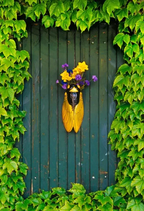 Framed Print : A flower vase surrounded by vines, Provence, France