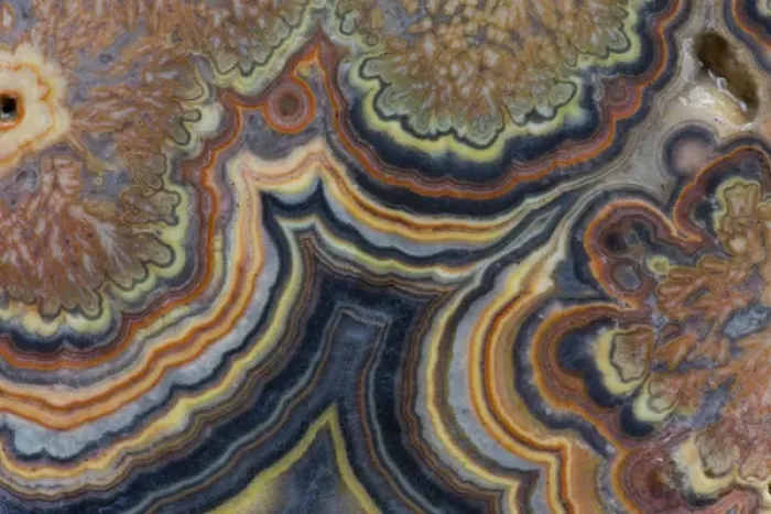 Framed Print : Flowering tube onyx - Mexico