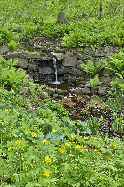 Flowers along Bells Run Creek, Chanticleer Garden, Wayne, Pennsylvania
