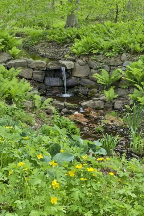 Framed Print : Flowers along Bells Run Creek, Chanticleer Garden, Wayne, Pennsylvania
