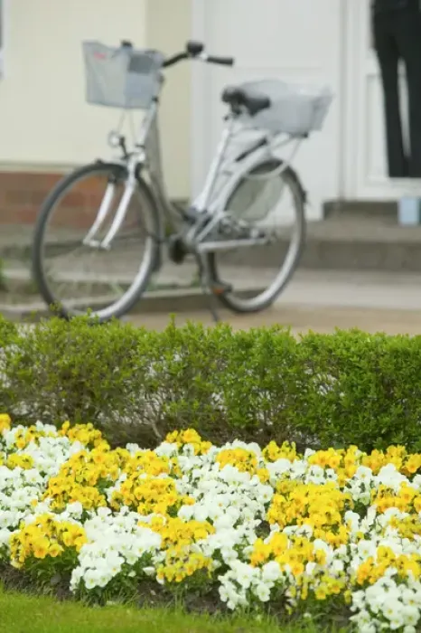 Framed Print : flowers and bicycle Framed Print : flowers and bicycle