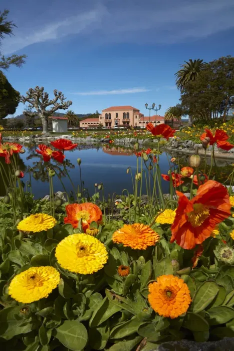 Framed Print : Flowers and Blue Baths, Government Gardens, Rotorua, North Island, New Zealand Framed Print : Flowers and Blue Baths, Government Gardens, Rotorua, North Island, New Zealand