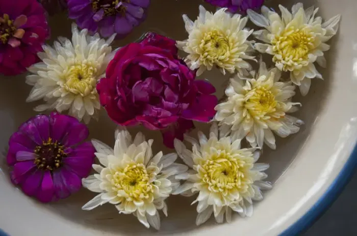 Framed Print : Flowers in a bowl of water, Rawal Jojawar Hotel, Jojawar, Rajasthan, India