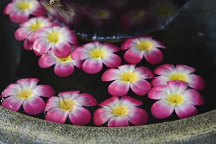 Framed Print : Flowers floating in fountain, Bangkok, Thailand Framed Print : Flowers floating in fountain, Bangkok, Thailand
