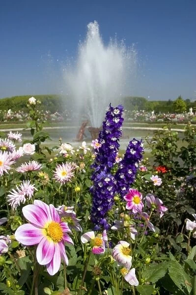 Flowers and fountains in the gardens at The Palace of Versailles at Versailles in France