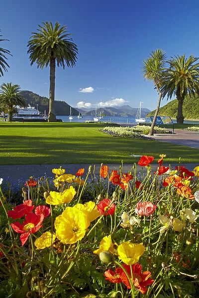 Flowers and palm trees, Foreshore Reserve, Picton, Marlborough Sounds, South Island
