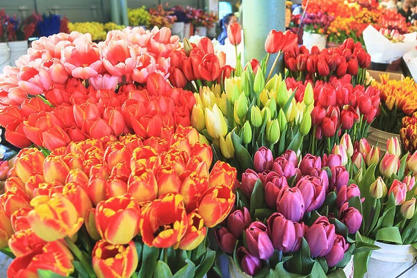Flowers for sale at Pike Place Market in late spring, Seattle, Washington State, USA