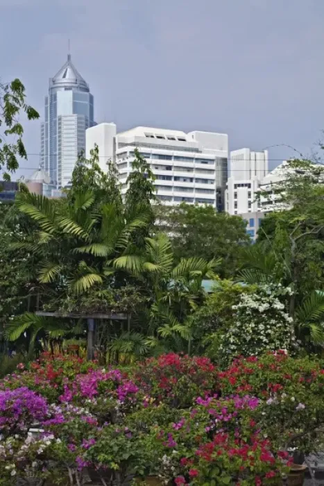 Framed Print : Flowers and skyline, Bangkok, Thailand Framed Print : Flowers and skyline, Bangkok, Thailand