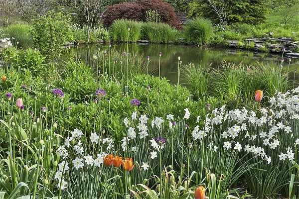 Flowers surrounding the Pond Garden. Chanticleer Garden, Wayne, Pennsylvania