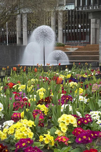 Flowers, Victoria Square, and Town Hall Fountain, Christchurch, Canterbury, South Island