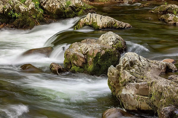 Flowing mountain stream and boulders, Great Smoky Mountains National Park, Tennessee