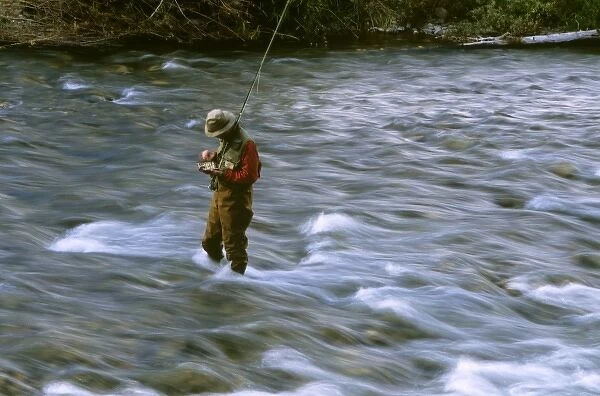 Fly fisherman selects fly to use in Rock Creek near Missoula Montana. (MR)